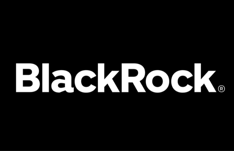 BlackRock Establishes Corporate Foundation