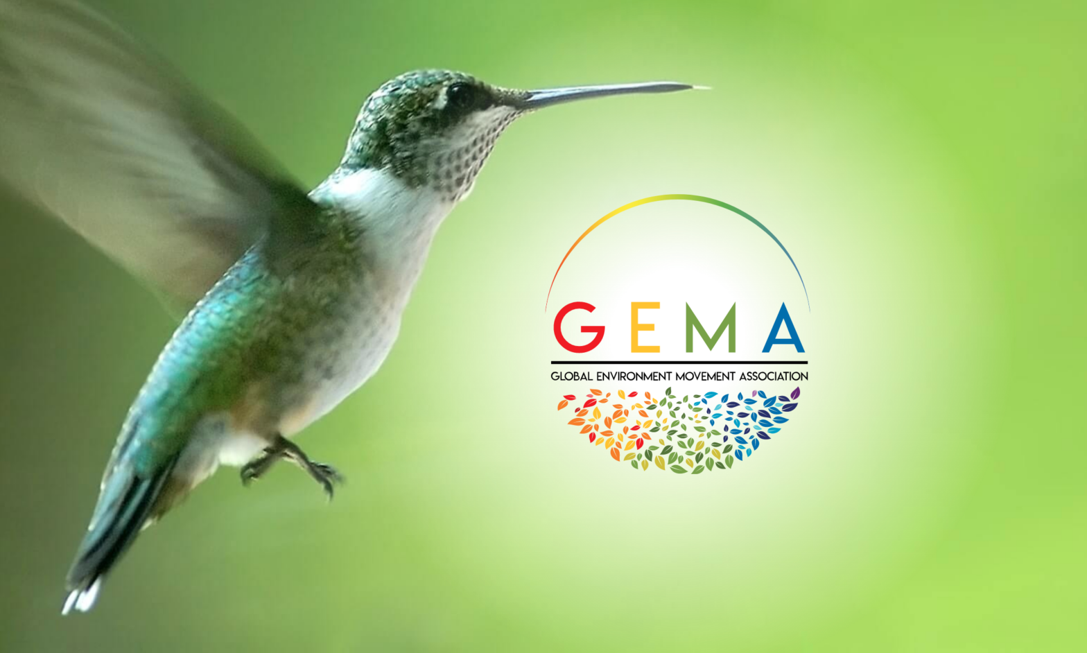 Environmental Information Portal GEMA Getting U.S. Arm